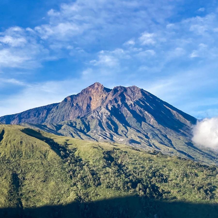 Girang Rinjani Bungalows Тетебату Экстерьер фото