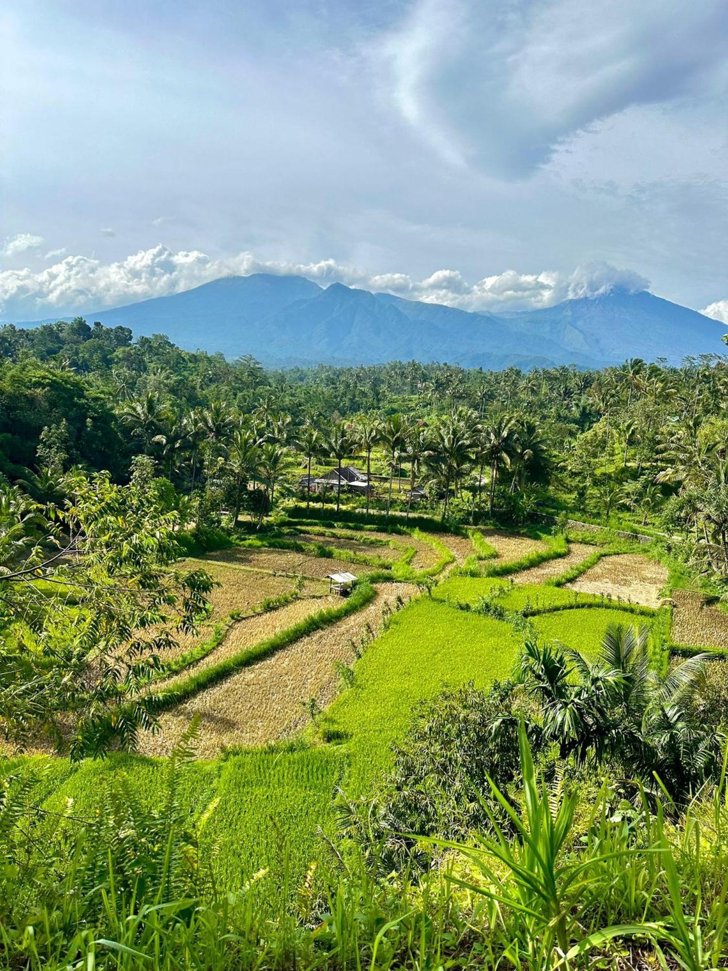 Girang Rinjani Bungalows Тетебату Экстерьер фото