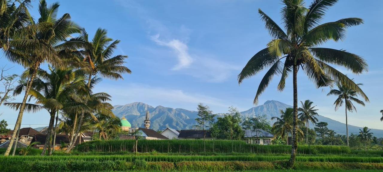 Girang Rinjani Bungalows Тетебату Экстерьер фото