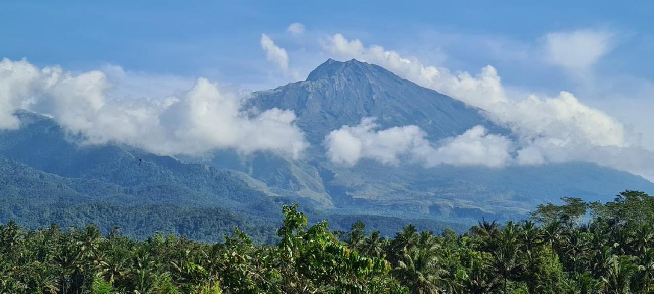 Girang Rinjani Bungalows Тетебату Экстерьер фото