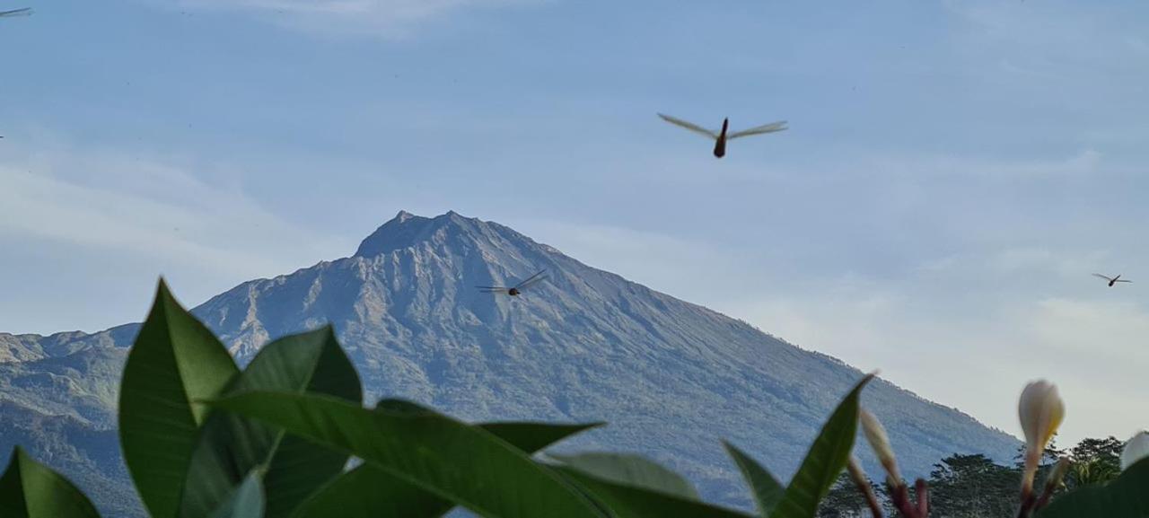 Girang Rinjani Bungalows Тетебату Экстерьер фото
