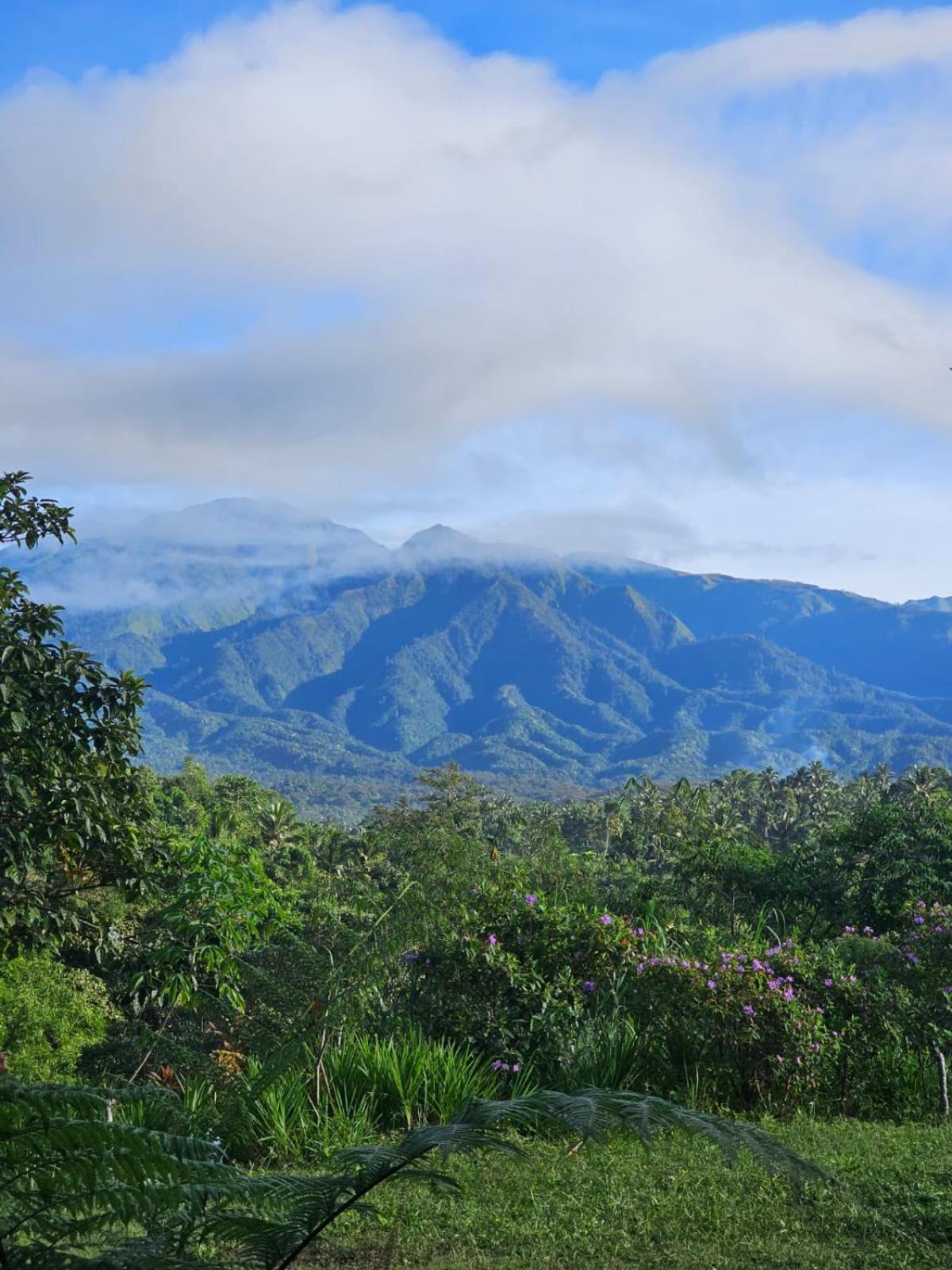 Girang Rinjani Bungalows Тетебату Экстерьер фото