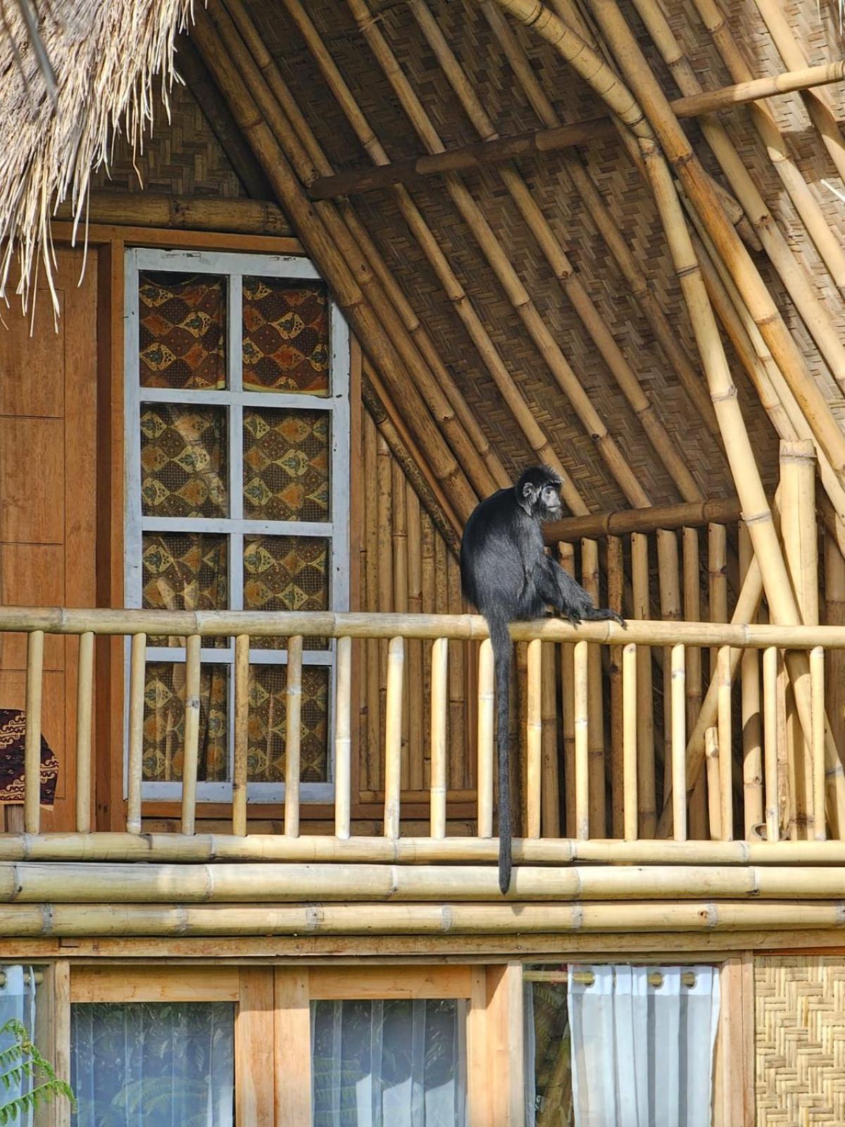 Girang Rinjani Bungalows Тетебату Экстерьер фото